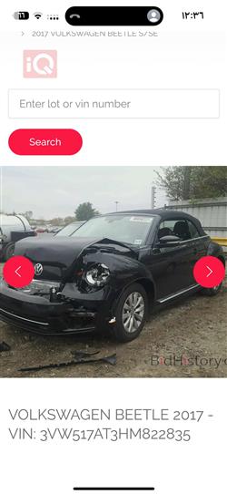 Volkswagen Beetle